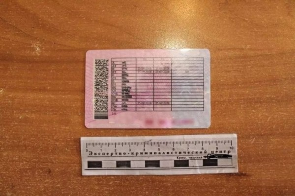 В России белорус показал ГИБДД поддельные «права» – вот как его наказали