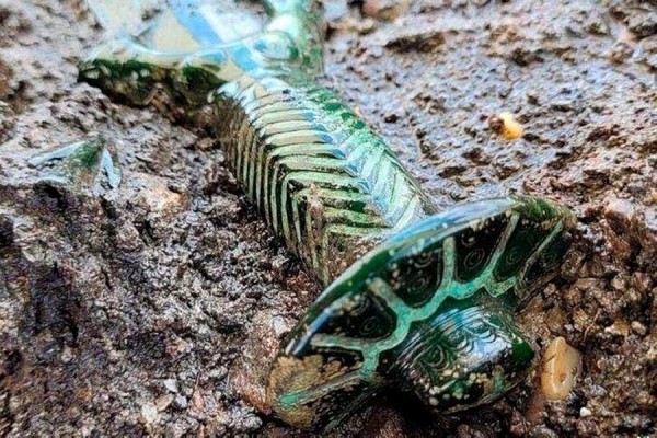 Археологи нашли в Германии бронзовый меч возрастом более 3000 лет Археологи нашли в Германии бронзовый меч возрастом более 3000 лет