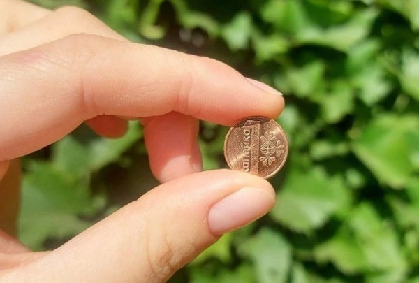 Как изменился бюджет прожиточного минимума за год – смотрим на цифры Как изменился бюджет прожиточного минимума за год – смотрим на цифры