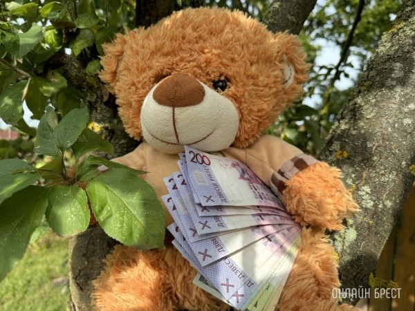 Что изменится в использовании семейного капитала? Пояснили в Минтруда Что изменится в использовании семейного капитала? Пояснили в Минтруда