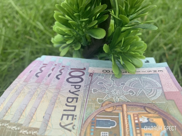 В Беларуси найдена вакансия до 18 000 рублей